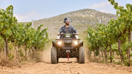 YAMAHA Kodiak 450 EPS - A PARTIR DE 186€/MOIS – Image 2