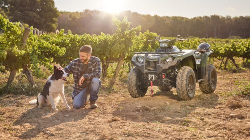 YAMAHA Kodiak 450 EPS - A PARTIR DE 186€/MOIS – Image 7
